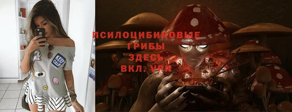 мяу мяу мука Надым