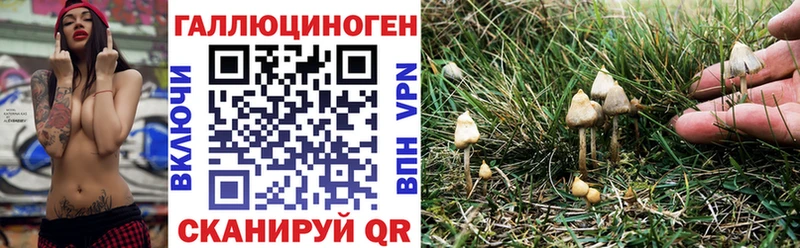 Псилоцибиновые грибы Psilocybine cubensis  Купить закладки  Жуковский 